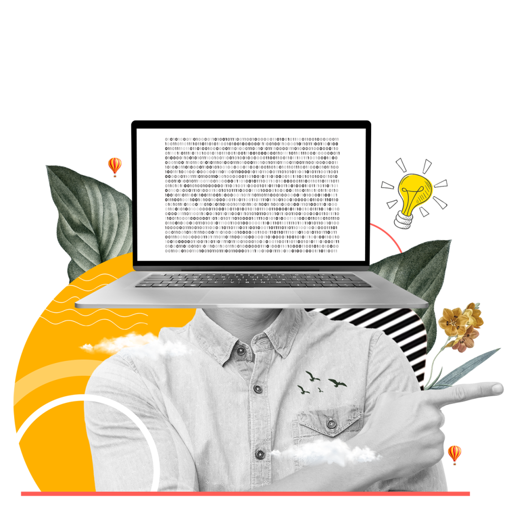 Web development